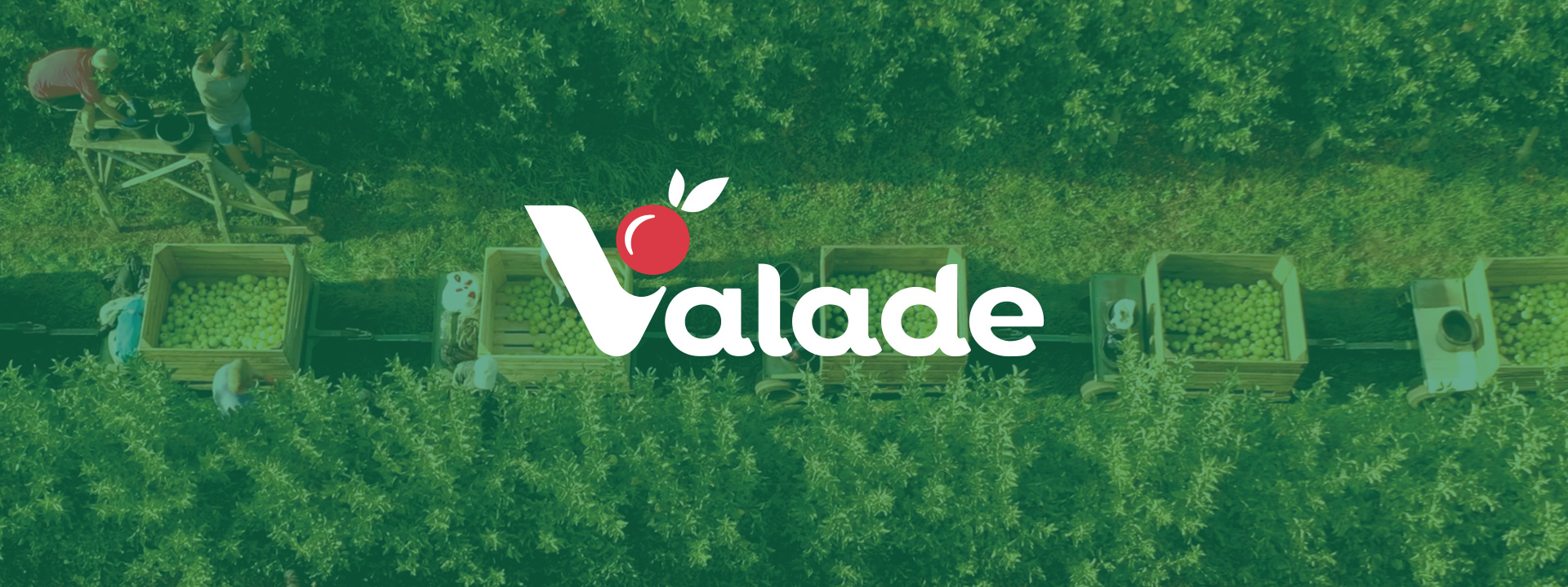 Valade digitalise la gestion de son parc palettes avec MagicPallet